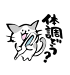 ねこねこ【冬～春】筆文字（個別スタンプ：13）