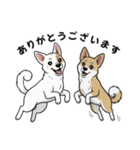 「むぎちゃん＆いねちゃん挨拶スタンプ」（個別スタンプ：2）