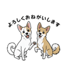 「むぎちゃん＆いねちゃん挨拶スタンプ」（個別スタンプ：3）