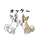 「むぎちゃん＆いねちゃん挨拶スタンプ」（個別スタンプ：4）