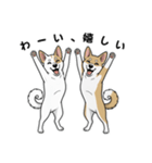 「むぎちゃん＆いねちゃん挨拶スタンプ」（個別スタンプ：6）