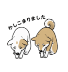 「むぎちゃん＆いねちゃん挨拶スタンプ」（個別スタンプ：7）