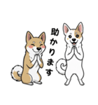 「むぎちゃん＆いねちゃん挨拶スタンプ」（個別スタンプ：8）