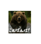 熊！熊！熊！スタンプ日常編（日本語）（個別スタンプ：3）