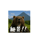 熊！熊！熊！スタンプ日常編（日本語）（個別スタンプ：7）