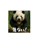 熊！熊！熊！スタンプ危険編（日本語）（個別スタンプ：2）