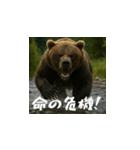 熊！熊！熊！スタンプ危険編（日本語）（個別スタンプ：3）