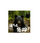 熊！熊！熊！スタンプ危険編（日本語）（個別スタンプ：6）