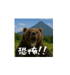 熊！熊！熊！スタンプ危険編（日本語）（個別スタンプ：7）