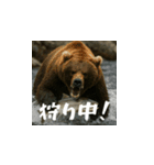 熊！熊！熊！スタンプ危険編（日本語）（個別スタンプ：8）