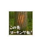 熊！熊！熊！スタンプ危険編（日本語）（個別スタンプ：11）