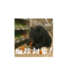 熊！熊！熊！スタンプ危険編（日本語）（個別スタンプ：13）