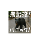 熊！熊！熊！スタンプ危険編（日本語）（個別スタンプ：15）