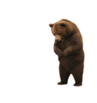 僕はくま、怖くないよ！（個別スタンプ：4）