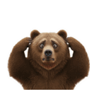 僕はくま、怖くないよ！（個別スタンプ：5）