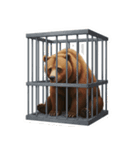 僕はくま、怖くないよ！（個別スタンプ：7）