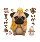 パグちゃん♡毎日使える犬の日（個別スタンプ：1）