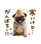 パグちゃん♡毎日使える犬の日（個別スタンプ：2）