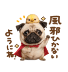 パグちゃん♡毎日使える犬の日（個別スタンプ：3）