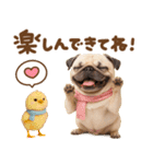 パグちゃん♡毎日使える犬の日（個別スタンプ：5）
