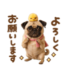 パグちゃん♡毎日使える犬の日（個別スタンプ：7）