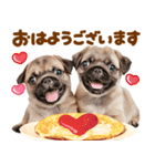 パグちゃん♡毎日使える犬の日（個別スタンプ：12）