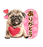 パグちゃん♡毎日使える犬の日（個別スタンプ：13）