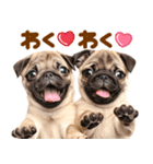 パグちゃん♡毎日使える犬の日（個別スタンプ：16）