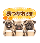 パグちゃん♡毎日使える犬の日（個別スタンプ：20）