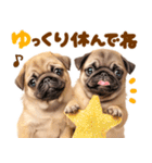 パグちゃん♡毎日使える犬の日（個別スタンプ：21）