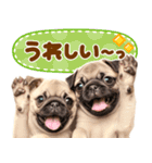 パグちゃん♡毎日使える犬の日（個別スタンプ：23）