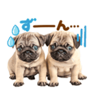 パグちゃん♡毎日使える犬の日（個別スタンプ：24）