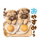 パグちゃん♡毎日使える犬の日（個別スタンプ：28）