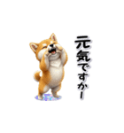 柴犬の気遣いスタンプ（個別スタンプ：6）