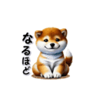 柴犬の気遣いスタンプ（個別スタンプ：16）