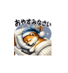 柴犬の気遣いスタンプ（個別スタンプ：23）