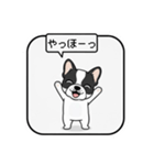 白黒フレンチブルドッグ毎日使えるスタンプ（個別スタンプ：4）