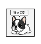 白黒フレンチブルドッグ毎日使えるスタンプ（個別スタンプ：11）