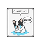 白黒フレンチブルドッグ毎日使えるスタンプ（個別スタンプ：12）