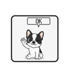 白黒フレンチブルドッグ毎日使えるスタンプ（個別スタンプ：13）
