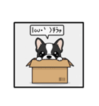 白黒フレンチブルドッグ毎日使えるスタンプ（個別スタンプ：15）