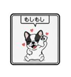 白黒フレンチブルドッグ毎日使えるスタンプ（個別スタンプ：20）