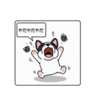 白黒フレンチブルドッグ毎日使えるスタンプ（個別スタンプ：22）