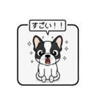 白黒フレンチブルドッグ毎日使えるスタンプ（個別スタンプ：23）