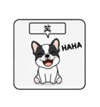 白黒フレンチブルドッグ毎日使えるスタンプ（個別スタンプ：24）