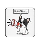 白黒フレンチブルドッグ毎日使えるスタンプ（個別スタンプ：25）