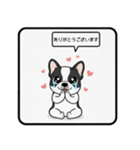 白黒フレンチブルドッグ毎日使えるスタンプ（個別スタンプ：27）