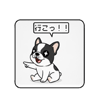 白黒フレンチブルドッグ毎日使えるスタンプ（個別スタンプ：28）