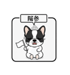 白黒フレンチブルドッグ毎日使えるスタンプ（個別スタンプ：29）