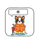 白黒フレンチブルドッグ毎日使えるスタンプ（個別スタンプ：31）